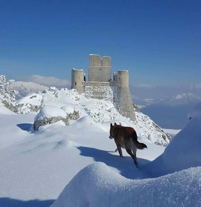 Attico D'Andrea Daire Pratola Peligna Dış mekan fotoğraf